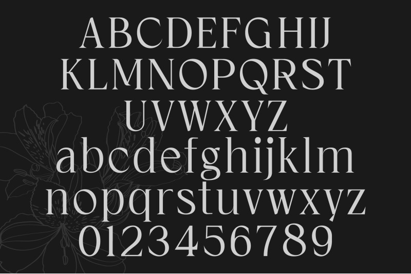 cardival-modern-luxury-bold-serif-font
