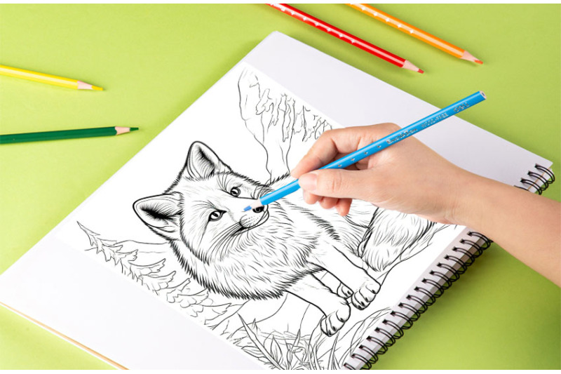 animal-coloring-pages-lion-tiger-bear-raccoon-marten-leo