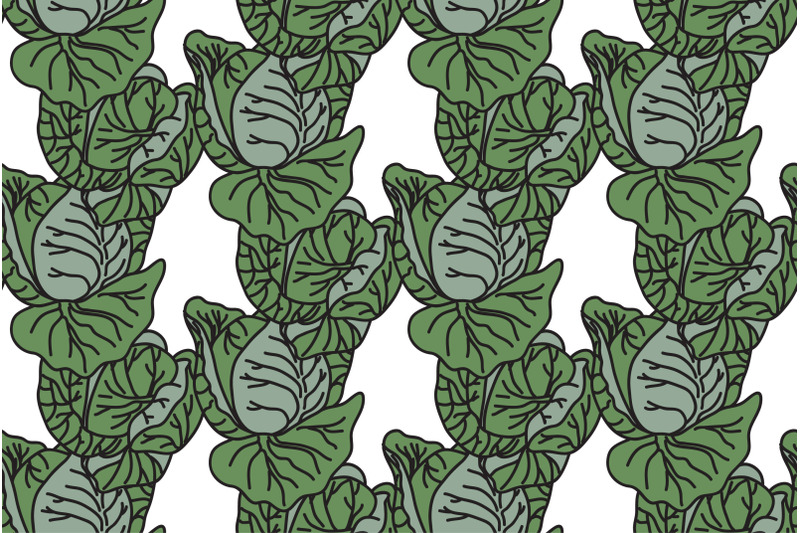 botanical-drawing-green-cabbages-seamless-pattern-vector-illustration