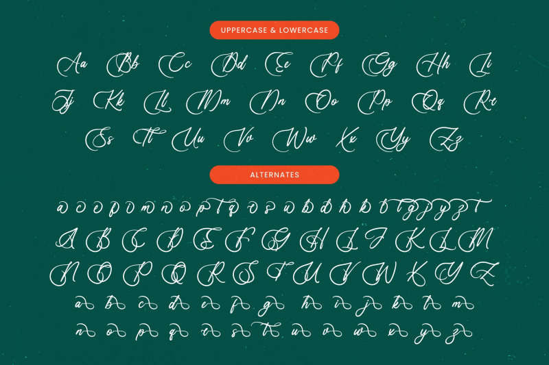 uniquely-vifanite-bold-calligraphy-font