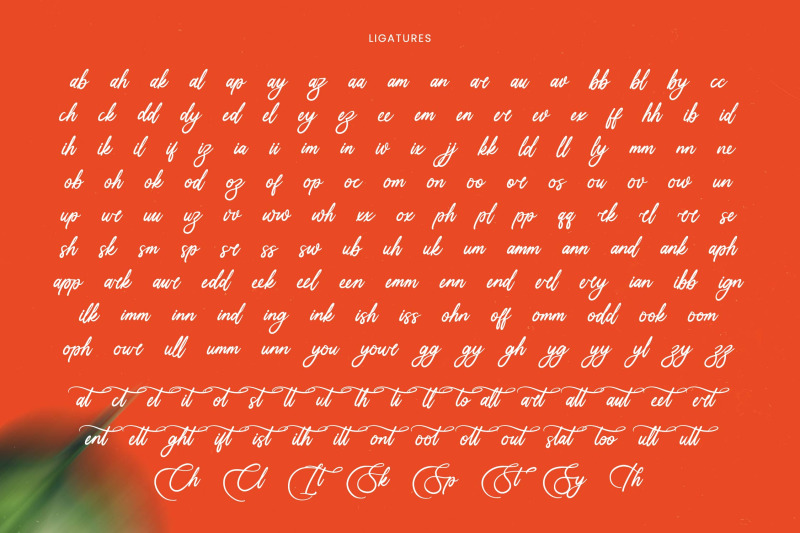 uniquely-vifanite-bold-calligraphy-font
