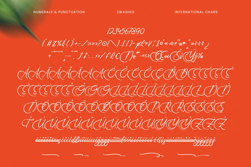 uniquely-vifanite-bold-calligraphy-font