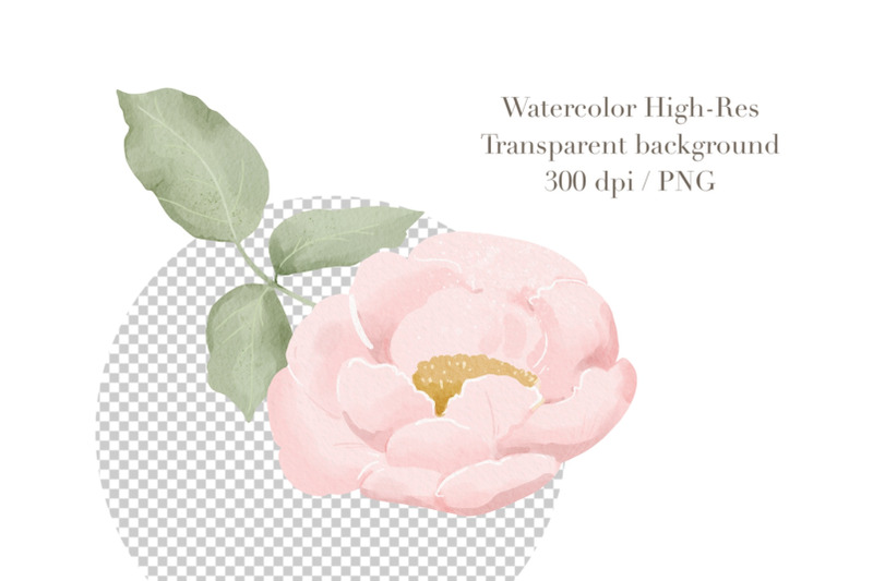 watercolor-romance-floral-clipart