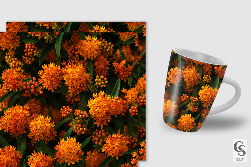 butterfly-milkweed-flowers-seamless-patterns