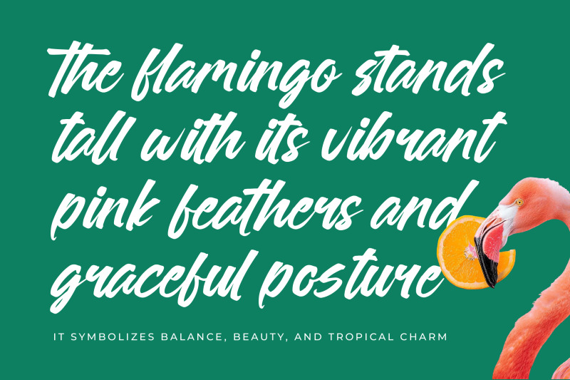 sattyne-bregast-bold-brush-font-type