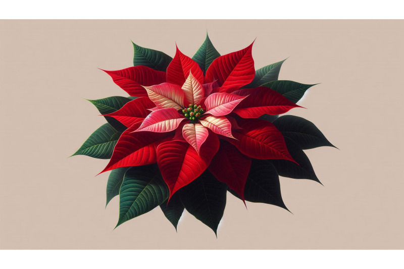 holiday-poinsettia-digital