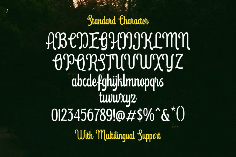 new-haven-retro-script-display-font
