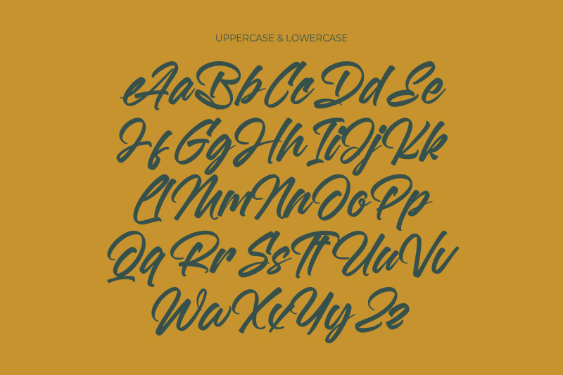 malgent-husked-bold-script-font