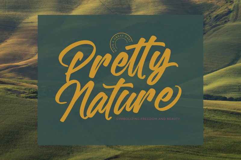 malgent-husked-bold-script-font