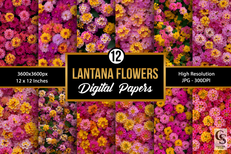 pink-summer-lantana-flowers-digital-paper