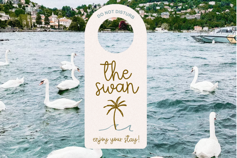 mint-honey-cute-script-font