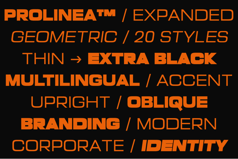 prolinea-expanded-geometric-sans-serif-family