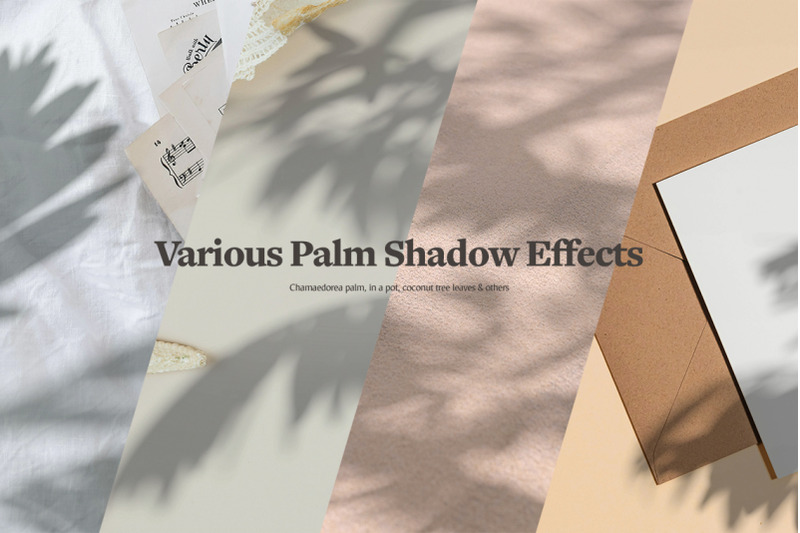 plant-shadow-backdrops-video-bundle
