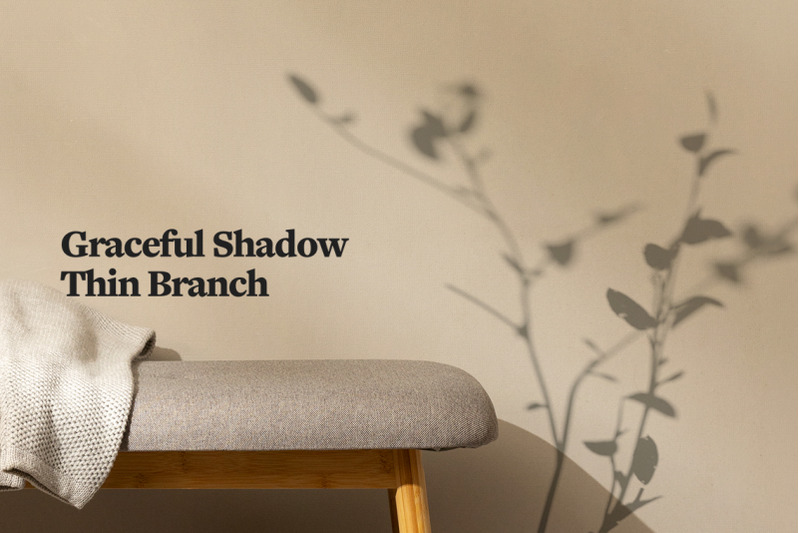plant-shadow-backdrops-video-bundle