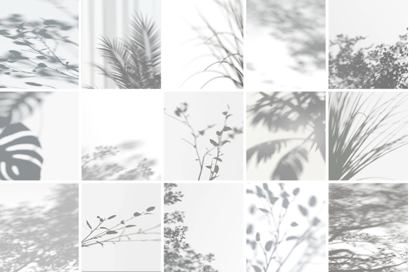plant-shadow-backdrops-video-bundle
