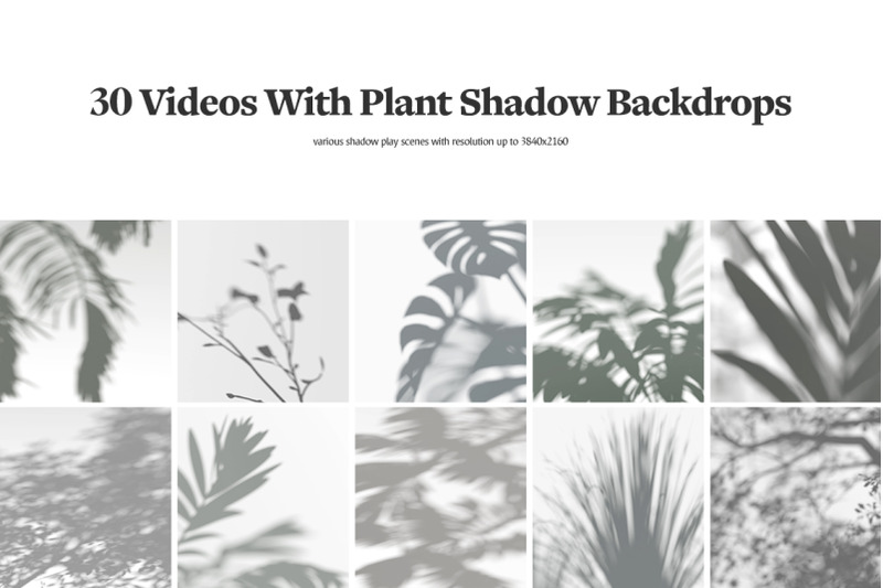 plant-shadow-backdrops-video-bundle