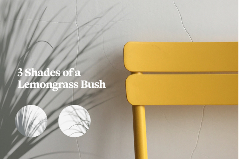 plant-shadow-backdrops-video-bundle