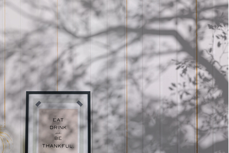 plant-shadow-backdrops-video-bundle