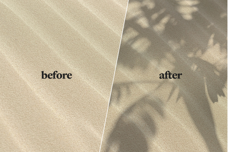 plant-shadow-backdrops-video-bundle