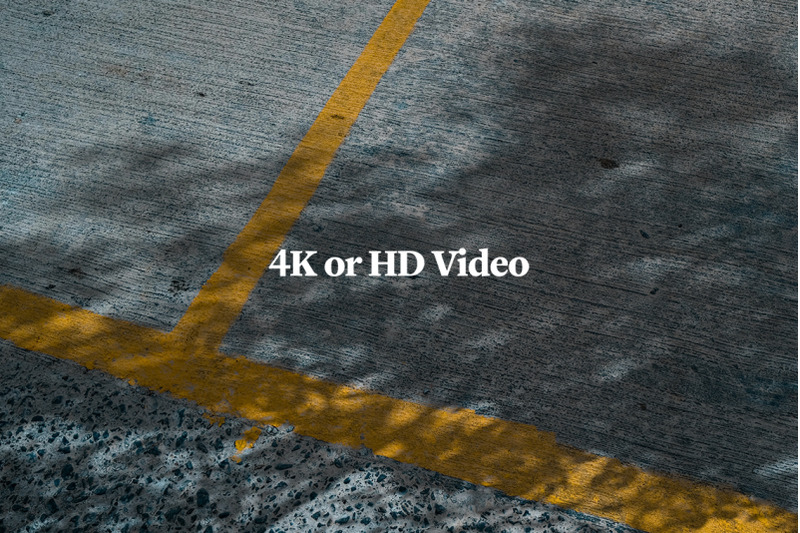 plant-shadow-backdrops-video-bundle