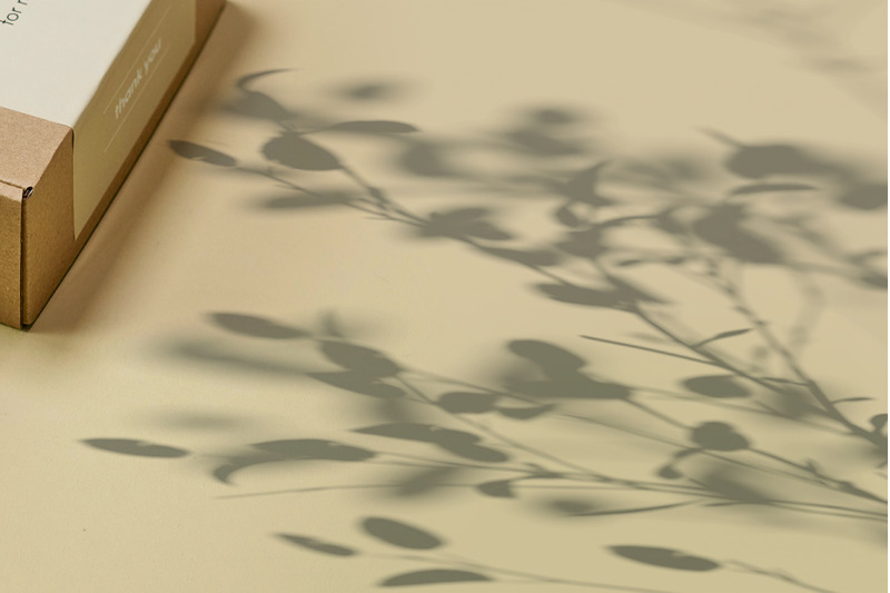 plant-shadow-backdrops-video-bundle