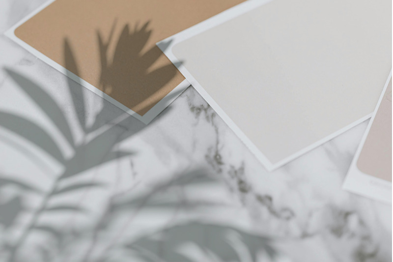 plant-shadow-backdrops-video-bundle
