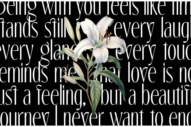 the-marlynes-classy-elegant-serif