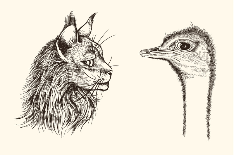 hand-drawn-portraits-of-animals