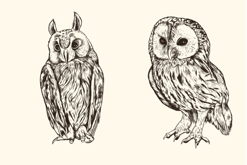 hand-drawn-animals