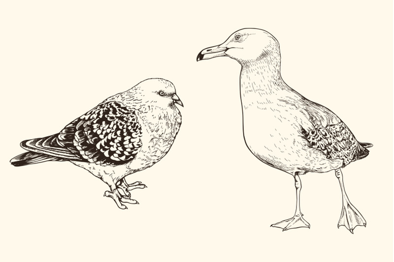 hand-drawn-animals