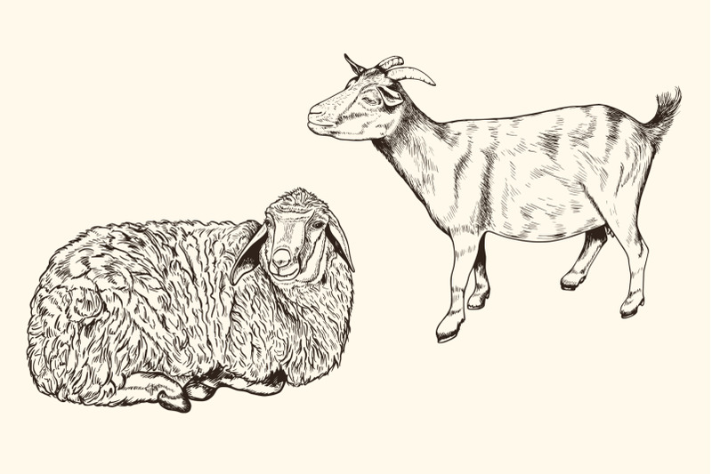hand-drawn-animals