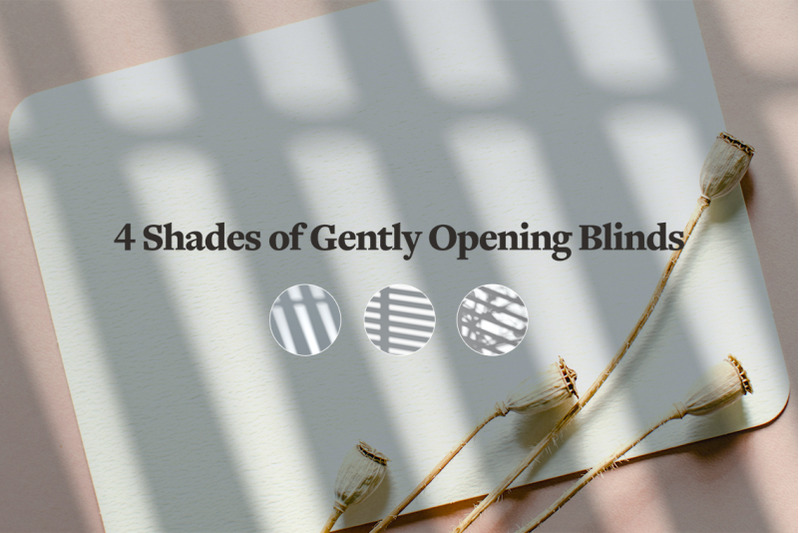 shadow-backdrops-videos-collection