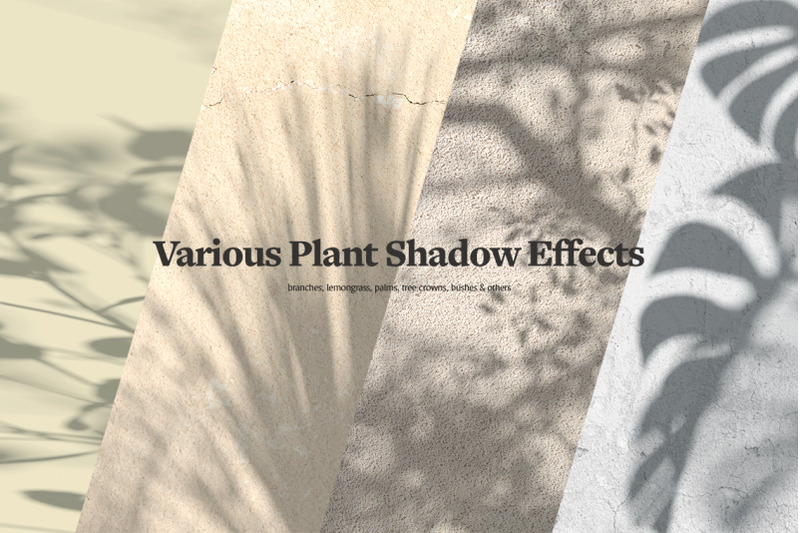 shadow-backdrops-videos-collection