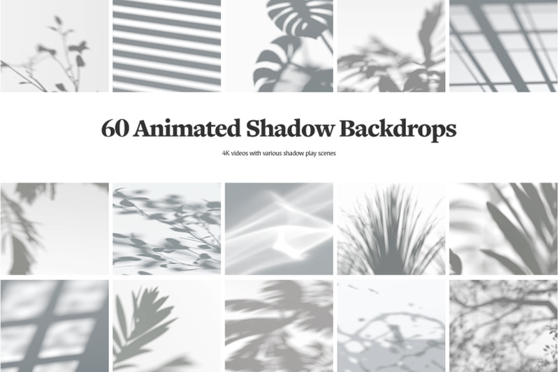shadow-backdrops-videos-collection