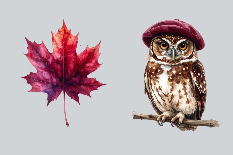burgundy-autumn-clipart-bundle-200-fall-png-illustrations