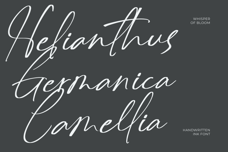 delynta-roastiph-handwritten-ink-font