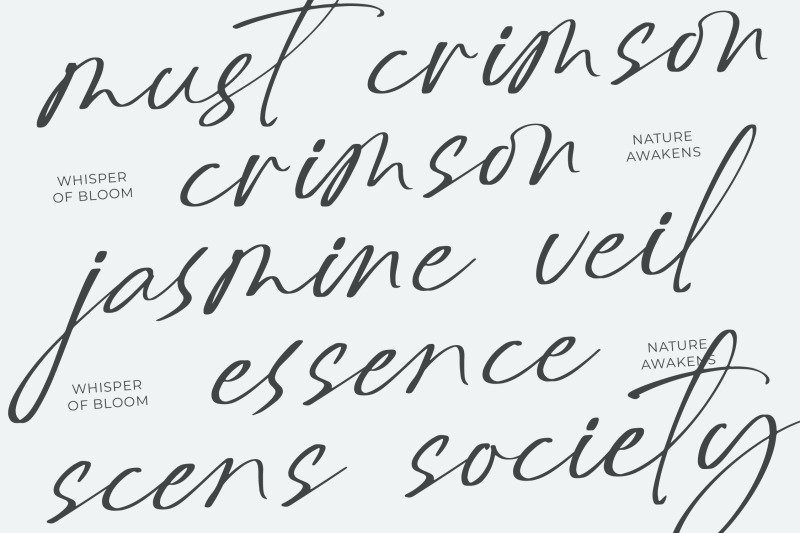 delynta-roastiph-handwritten-ink-font