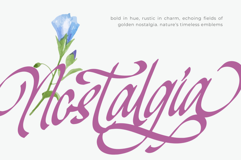 mendyora-bold-calligraphy-font