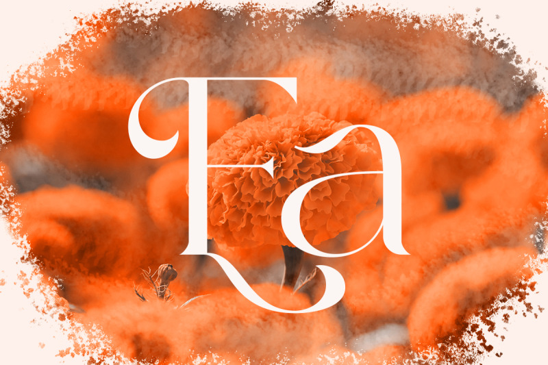 lorestta-elegant-luxury-serif