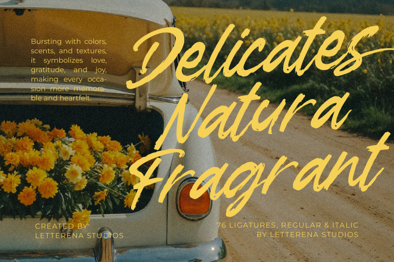 garden-solland-bold-handwritten-font