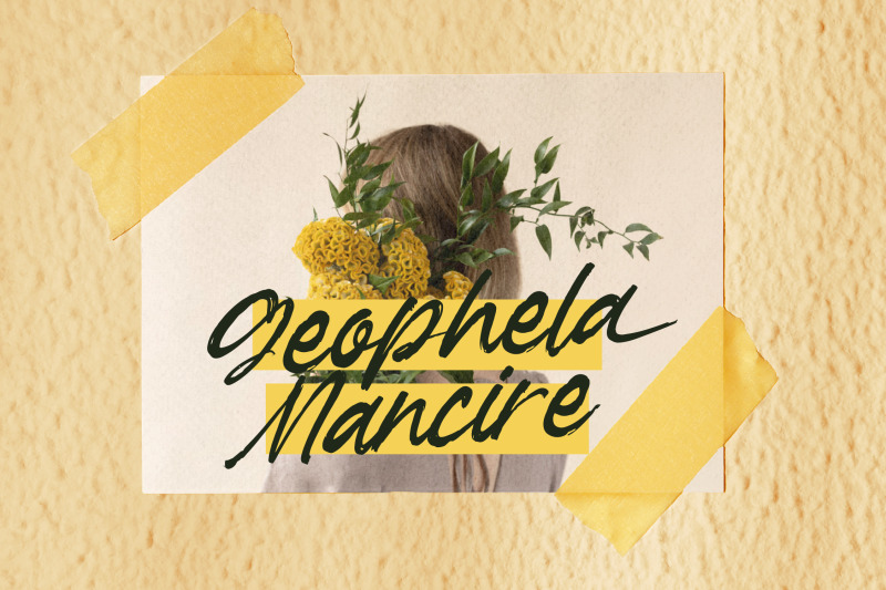 garden-solland-bold-handwritten-font