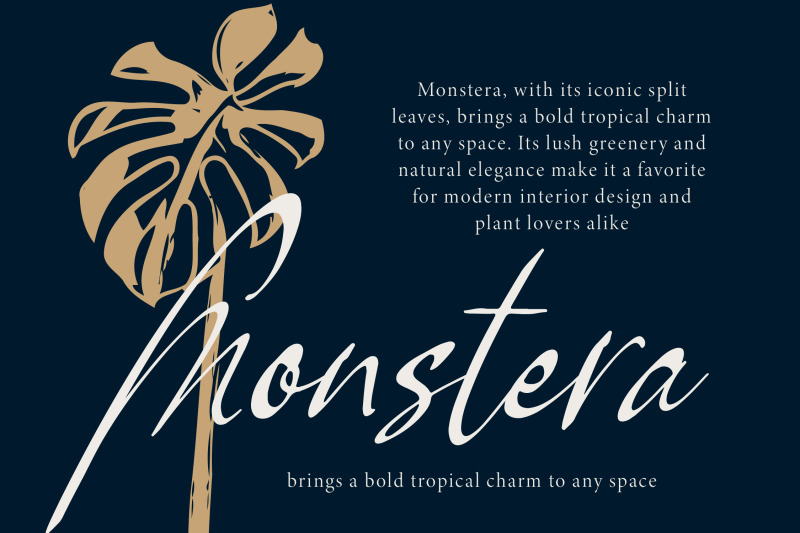 pamric-mevira-handwritten-ink-font