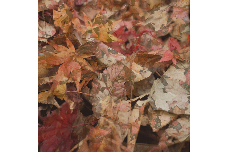 autumn-textured-leaf-background