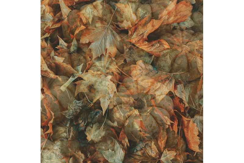autumn-textured-leaf-background