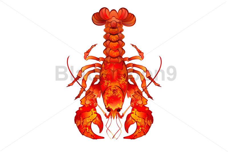 red-boiled-lobster