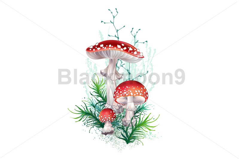 fly-agaric-composition