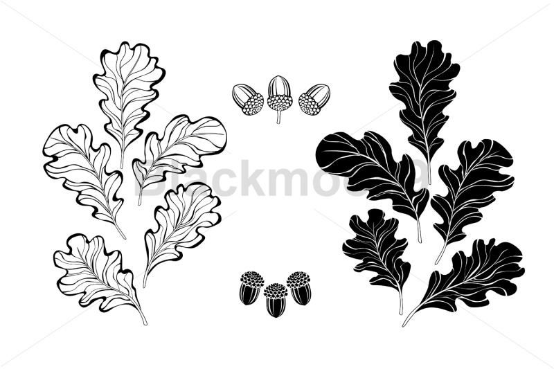 monochrome-oak-leaves