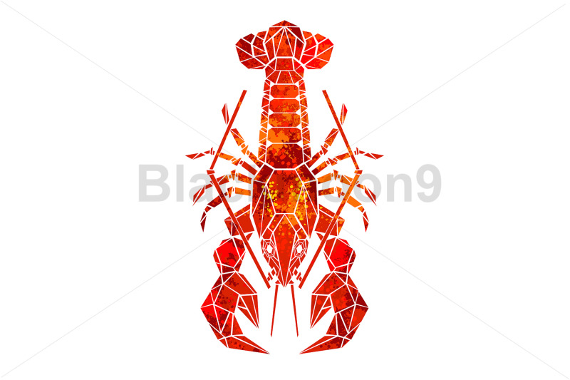 red-polygonal-lobster