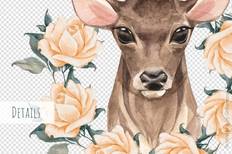 watercolor-deer-floral-png