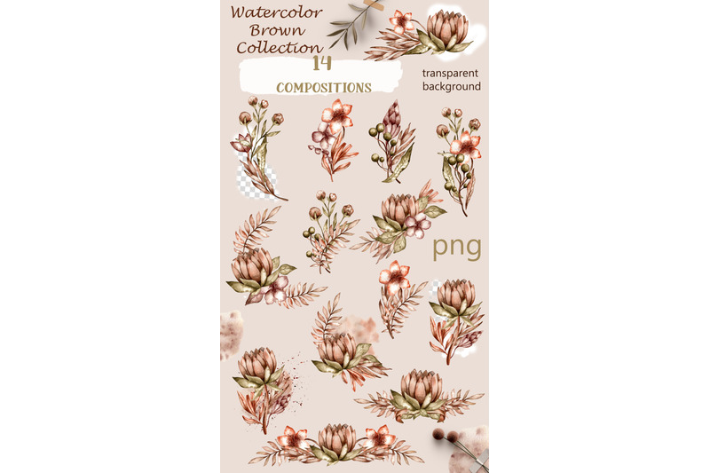 watercolor-brown-collection